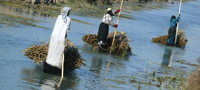 Launch of petition to save World Heritage in Mesopotamia threatened by the Ilisu Dam on the Tigris Riverحملة ادخال الاهوار العراقية ضمن الموروث العاملي لليونيسكو
