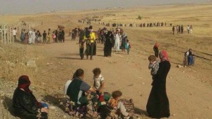 Families escaping from Mosul June 2014 