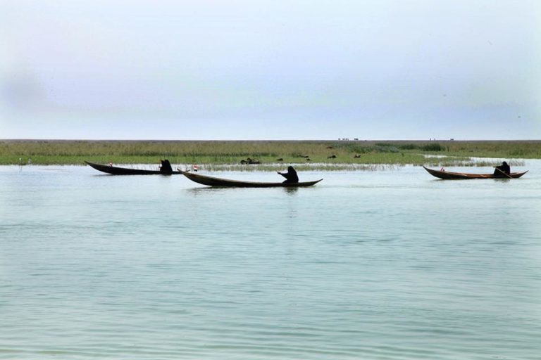 Iraqi Marshes, Second Step Towards The World Heritage!