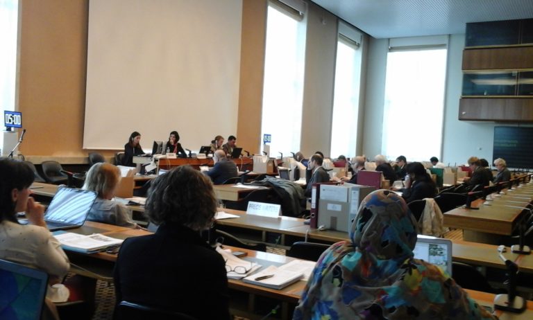 Results of the review session of Iraq on the Covenant on Social, Economic and Cultural Rights