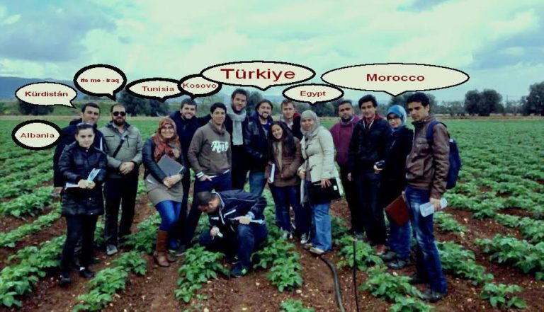 A Lesson How To Live In Peace