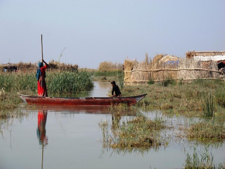 World Wetlands Day: what measures will be taken to safeguard the Iraqi Marshes?