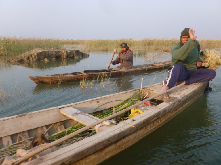 Iraq Fears Famed Marshes Could Be Pulled from World Heritage List