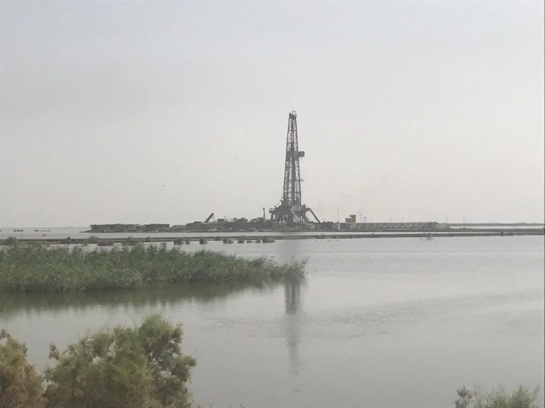 The Border Wetlands of Iran-Iraq: an Environmental Crisis with Regional Consequences