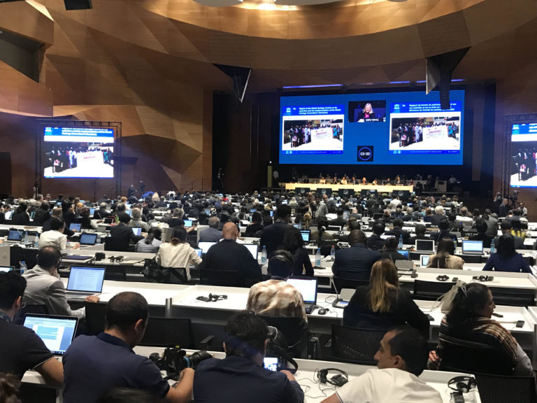 The World Heritage Committee Should Step Up to Protect the Iraqi Marshes From Harm – A Report On the 2019 WHC Session in Baku