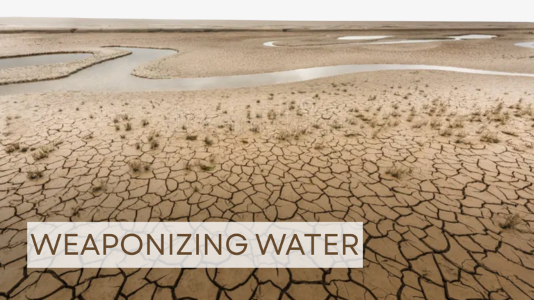 Weaponizing Water: Forced Evictions and Ecocide in the Iraqi Marshlands